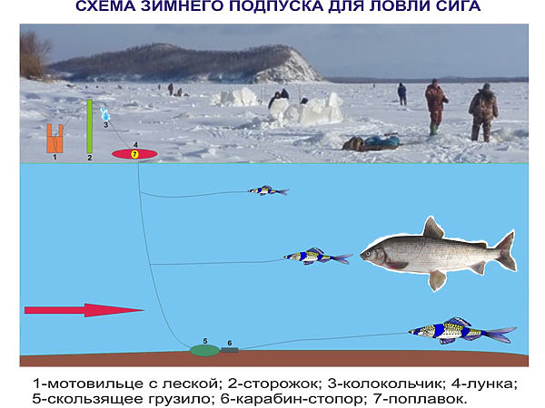 Купить Автомат На Сига В Челябинске