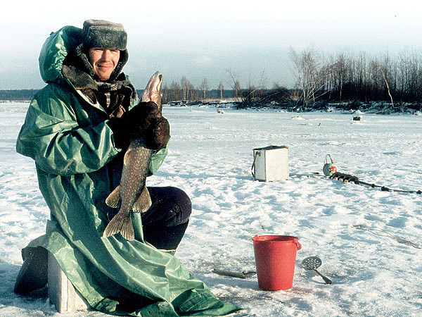 Изображение На водоемах, богатых рыбой, щука неплохо ловится и в середине зимы. Фото: Токарева Александра. 