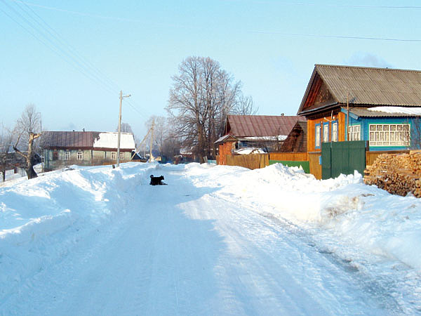 Изображение Фото: Токарева Александра. 