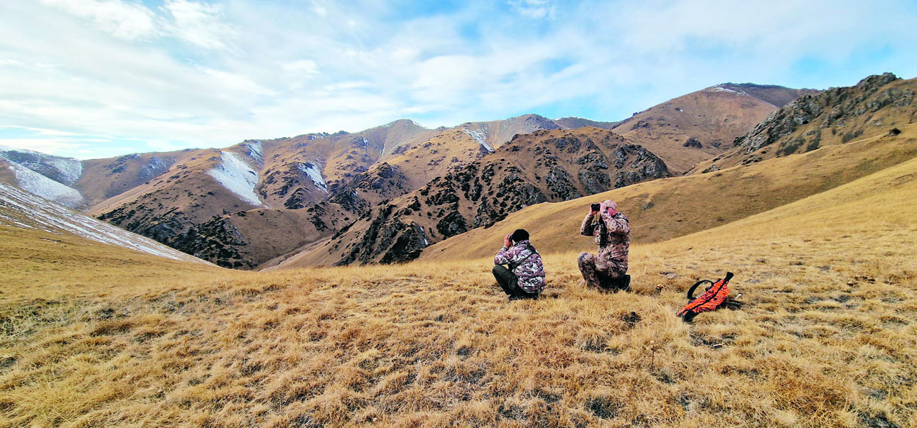 Изображение Поиск рогачей в горах требует внимательности и определенной сноровки. Фото автора. 