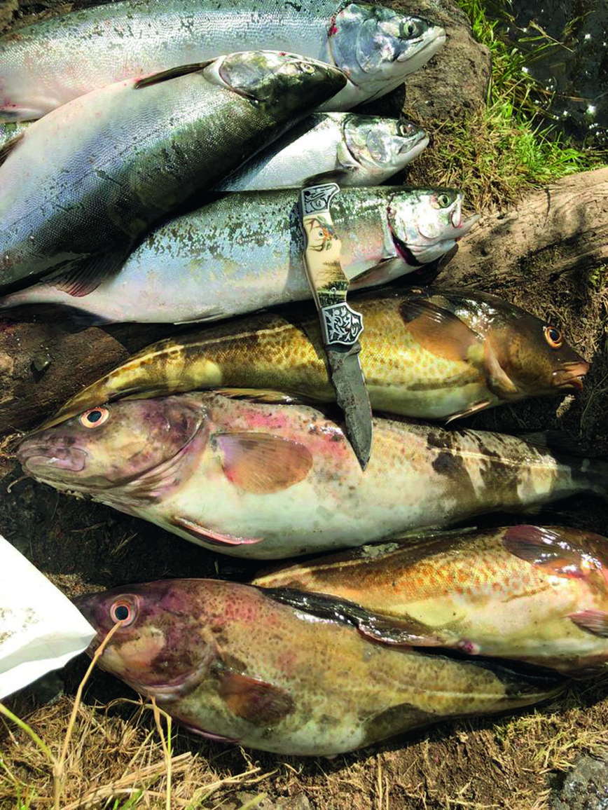 Изображение Улов трески и горбуши в устье реки Умбы. Фото автора. 
