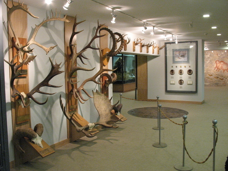 Изображение Российский музей охоты и рыболовства отмечает юбилей