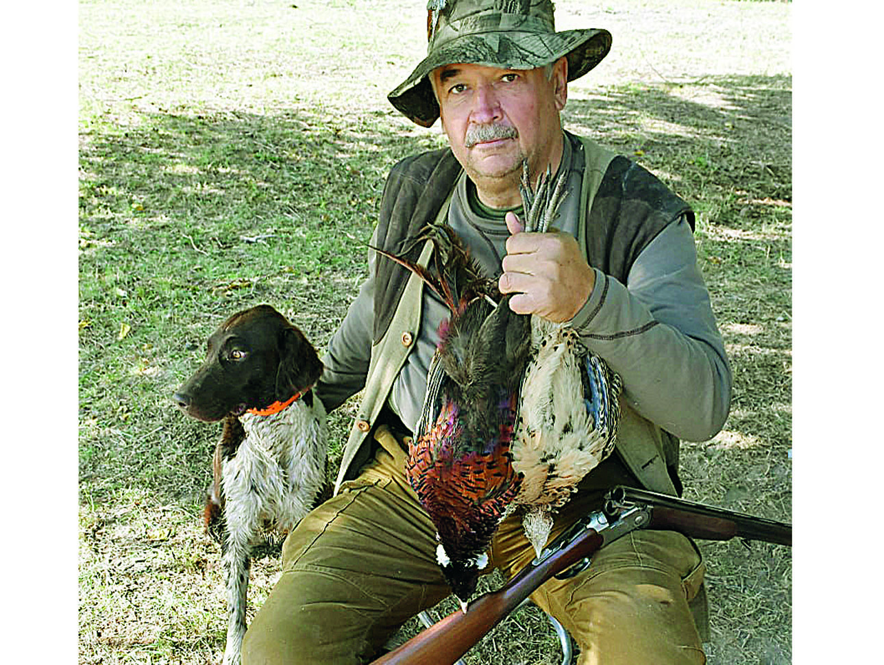 Изображение Для охоты на фазана я держу двух малых мюнстерлендеров. 
Это восьмилетний Дюк. Фото автора. 