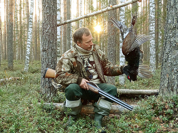 Изображение Самцы отличаются от самок цветом и размерами, поэтому рачительный охотник всегда предпочитает брать петухов. ФОТО СВЕТЛАНЫ БУРКОВСКОЙ. 