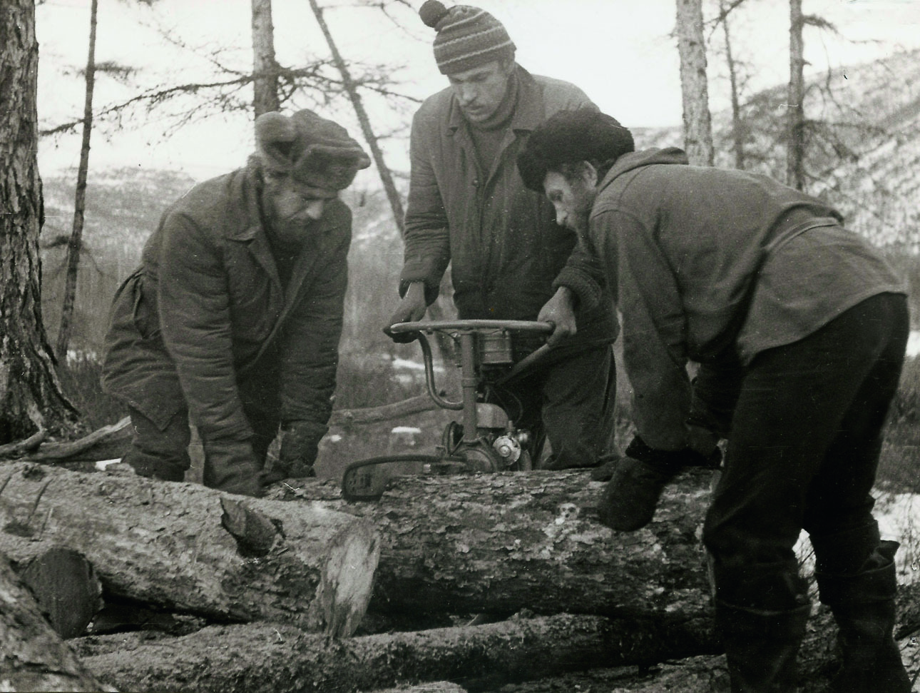 Изображение Заготовка дров для лагеря — дело коллективное. Фото автора. 
