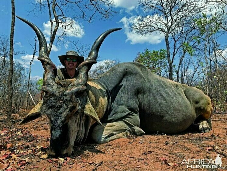Изображение Американец добыл в Мозамбике необычную антилопу канну