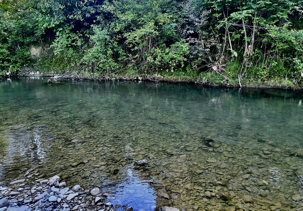 Изображение Чем более мелкая ямка на горной реке, тем осторожнее нужно к ней подкрадываться. Фото: Шеляга Геннадия. 