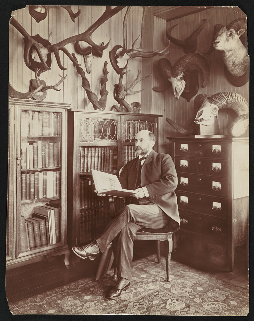 Изображение Уильям Т. Хорнадей сидит в своем кабинете в Нью-Йоркском зоологическом парке на рубеже веков. Библиотека Конгресса 