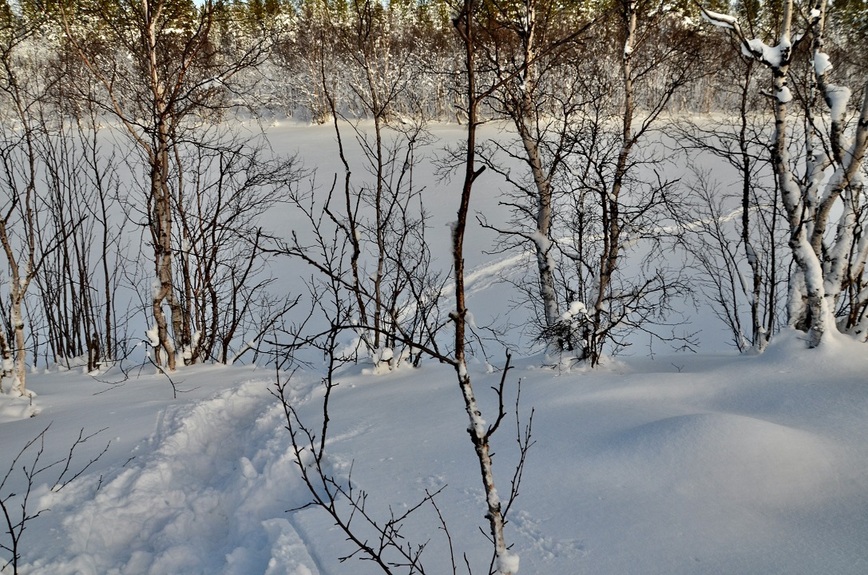 Изображение Так выглядит зимой река Средняя. Фото: Шеляга Геннадия. 