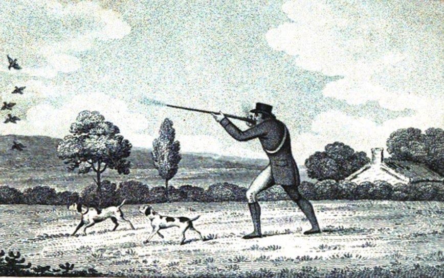 Изображение Рисунок 3. Английская гравюра, 1811 г. Охота на куропаток с пойнтерами с купированными хвостами 