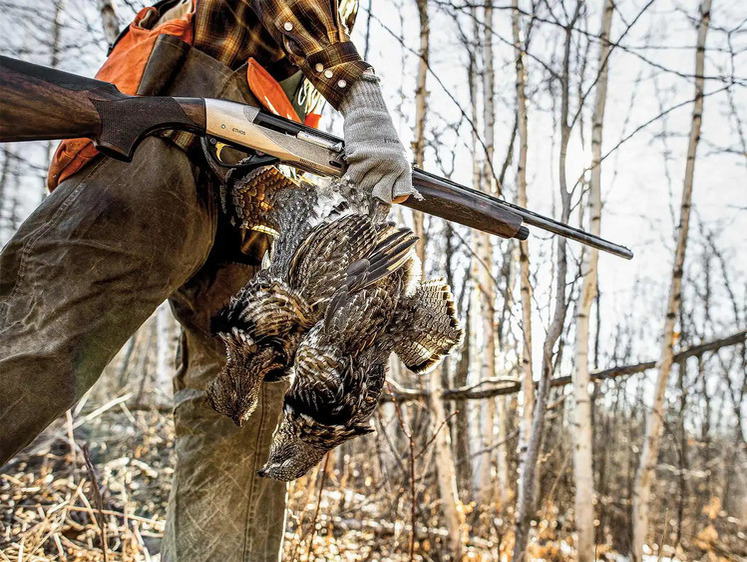 Изображение Советы американских охотников по добыче зимнего рябчика