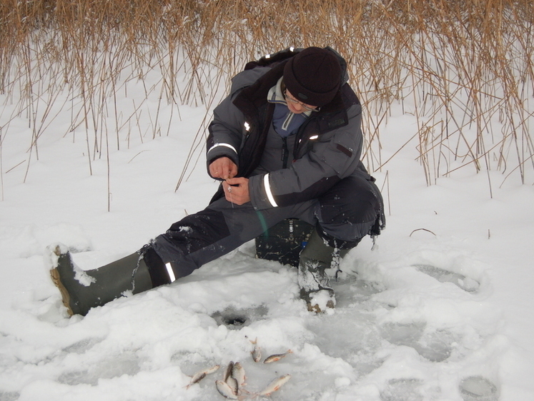 Изображение Некоторые особенности поиска рыбы по первому льду