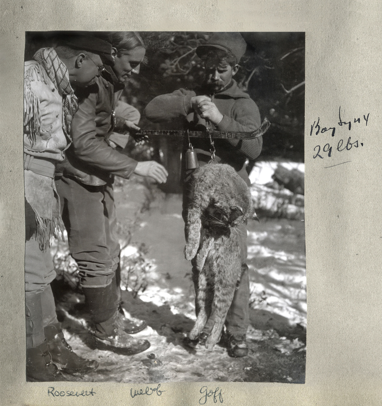 Изображение Теодор Рузвельт (слева) с друзьями на охоте взвешивают рысь. Библиотека колледжа Колорадо 