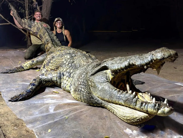 Изображение Американская пара застрелила из лука большого крокодила в Африке