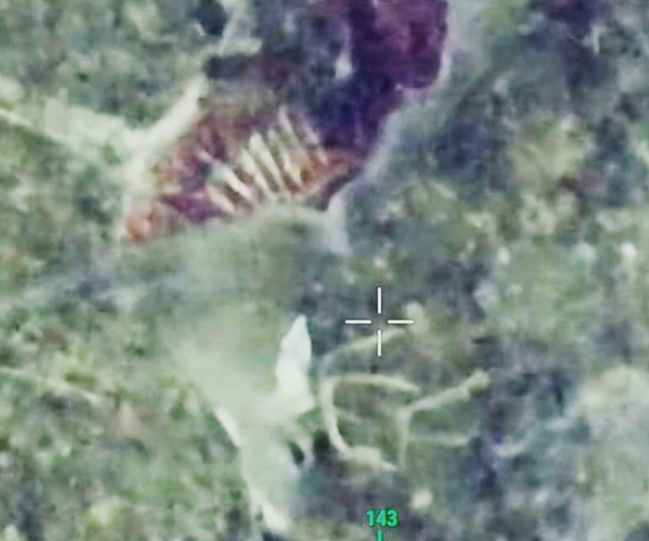 Изображение Вид оленя глазами дрона, который был найден при минусовой температуре после того, как его обглодали койоты. Фото предоставлено Майком Йодером 