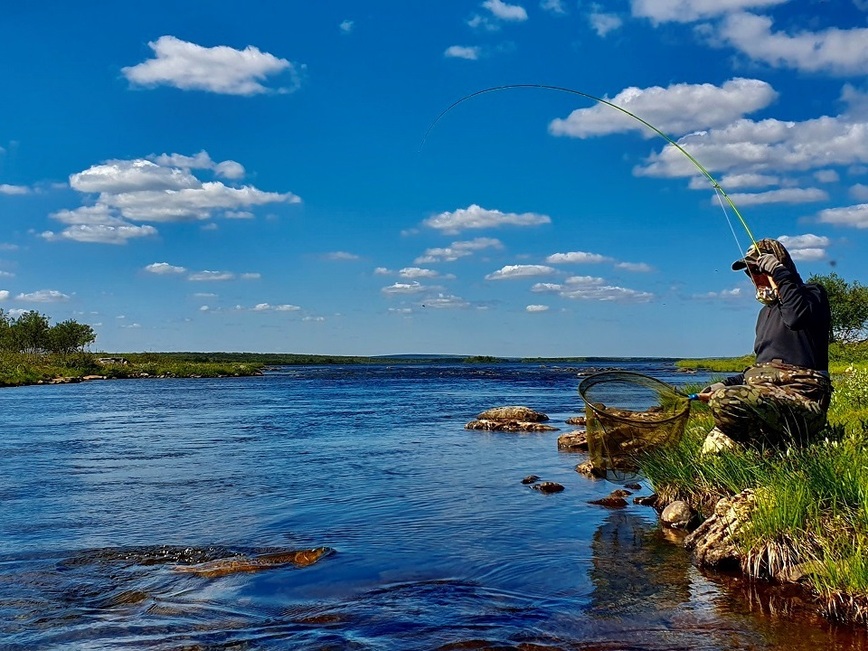 Изображение При ловле лучше пользоваться подсачеком. Фото: Шеляга Геннадия. 