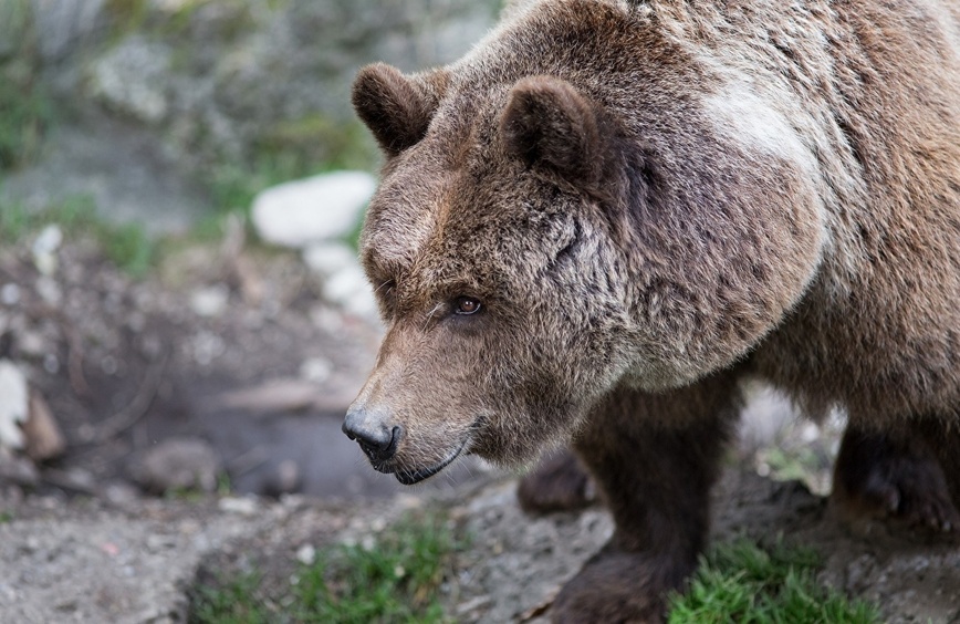 Изображение Фото: 1zoom.ruФото: 1zoom.ru 